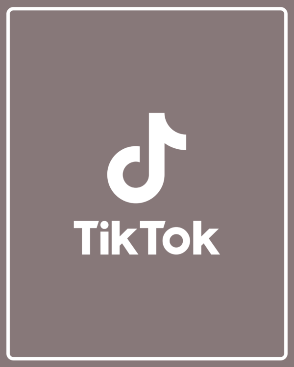 Seguidores TikTok