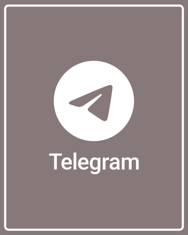 Seguidores Canal Telegram